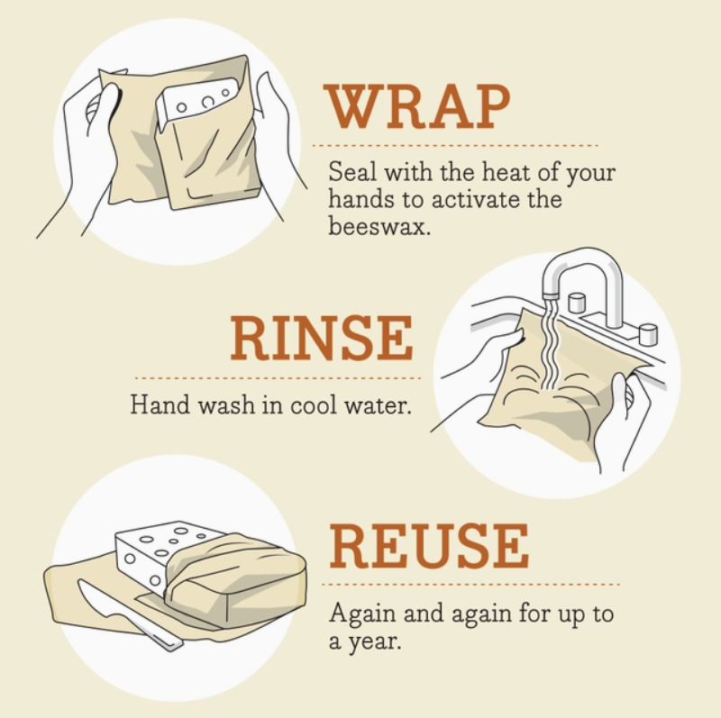 Bee's Wrap - Lunch Pack - Bees & Bears Print