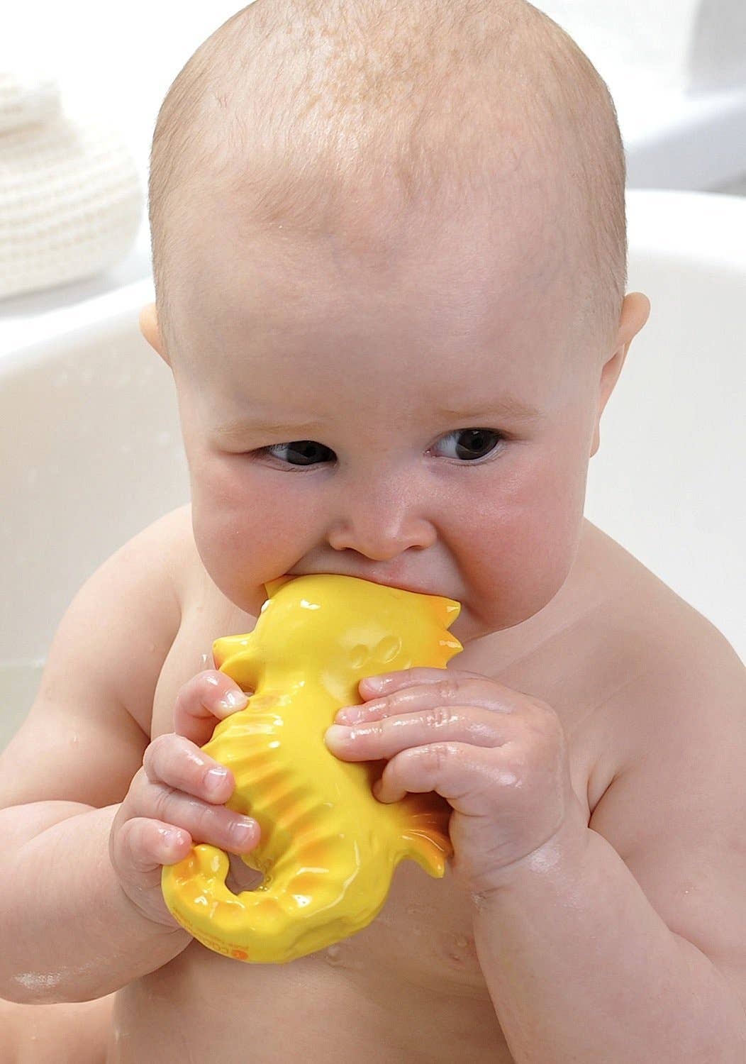 CaaOcho Natural Rubber Toys - Natural Rubber Seahorse Non-Toxic Bath Toy, Mold-free design