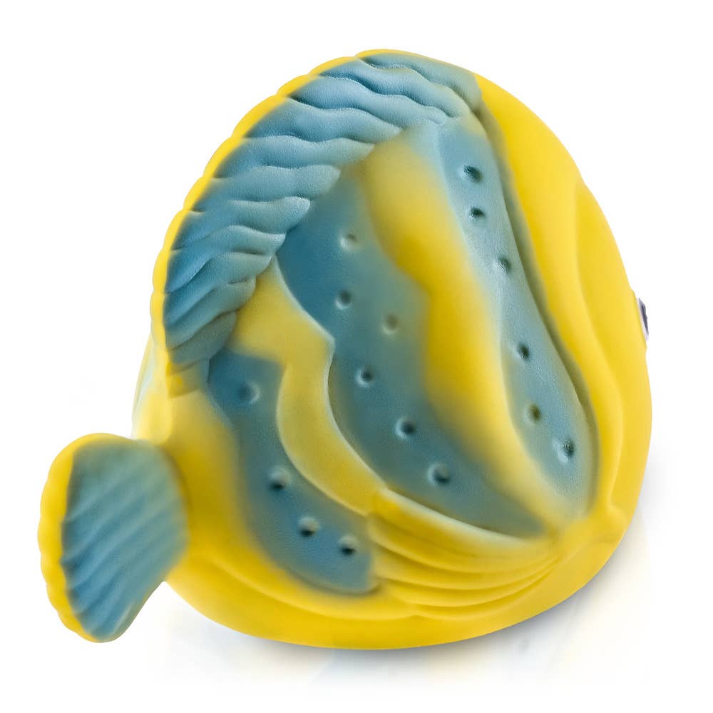 CaaOcho Natural Rubber Toys - Natural Rubber Fish Non-Toxic Bath Toy, Mold-free design
