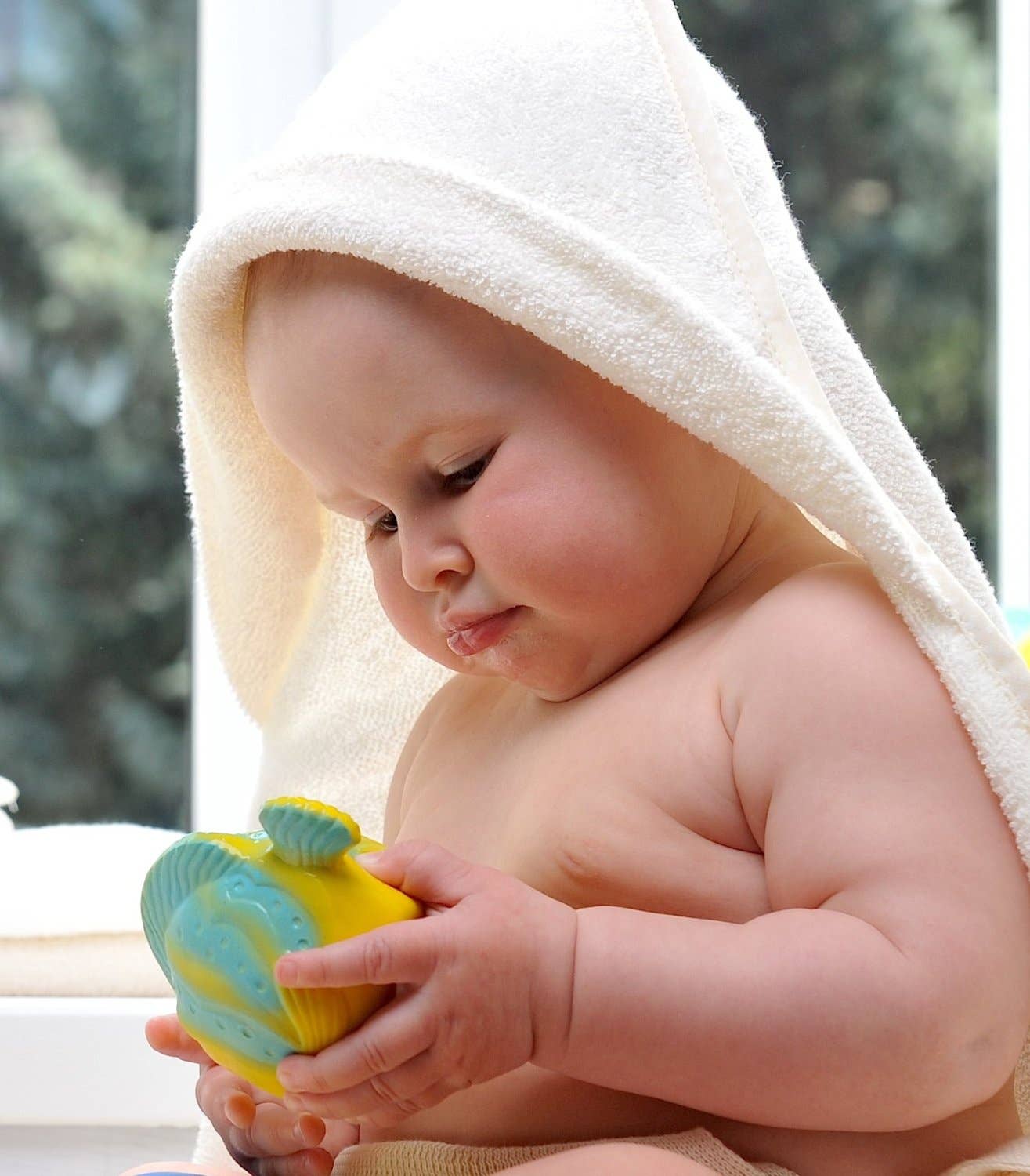 CaaOcho Natural Rubber Toys - Natural Rubber Fish Non-Toxic Bath Toy, Mold-free design